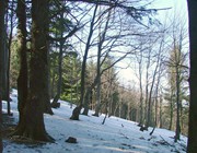 Czantoria, Beskidy Mountains, Poland