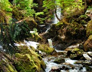 Little Waterfall