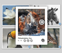 Native Theme with Native-style thumbnails. Visual Lightbox JS.