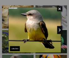Noir Style Gallery - Lightbox HTML Free