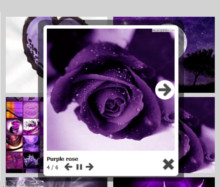 Social Theme with Zoom thumbnails. Slide show feature with resizing animations.
