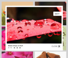 Standard Theme with No Frame thumbnails. Image Gallery With Lightbox.