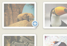 MAC Theme