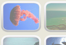 Round Window Theme