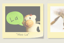 Sticky Notes Theme